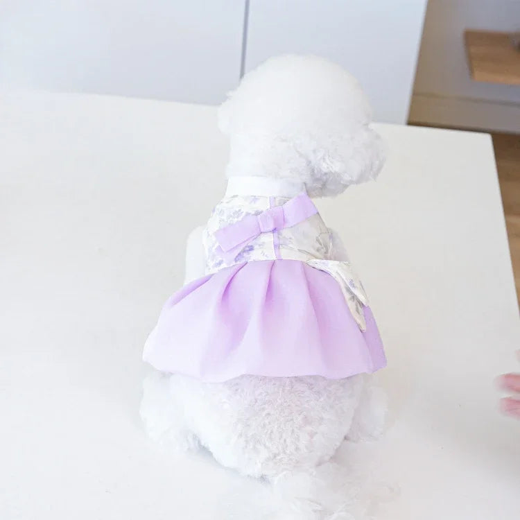 Teddy Dress Fashion for Puppy