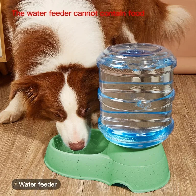 Pet Large Capacity Automatic Water and Feeder