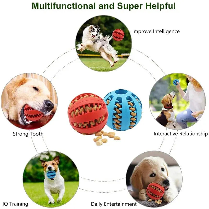 Toy Ball for Dogs & Puppy Cat