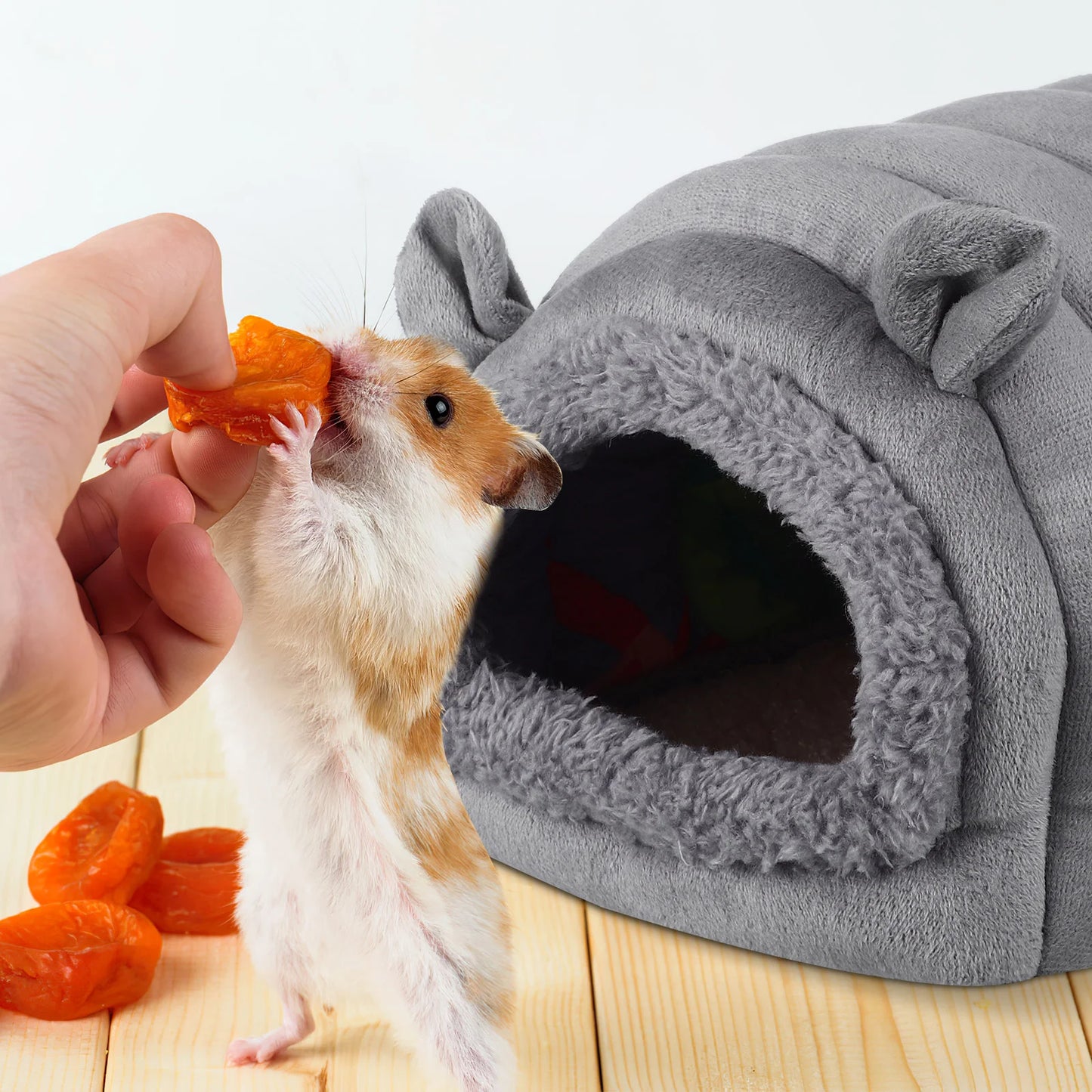 Small Pet Guinea Pig House