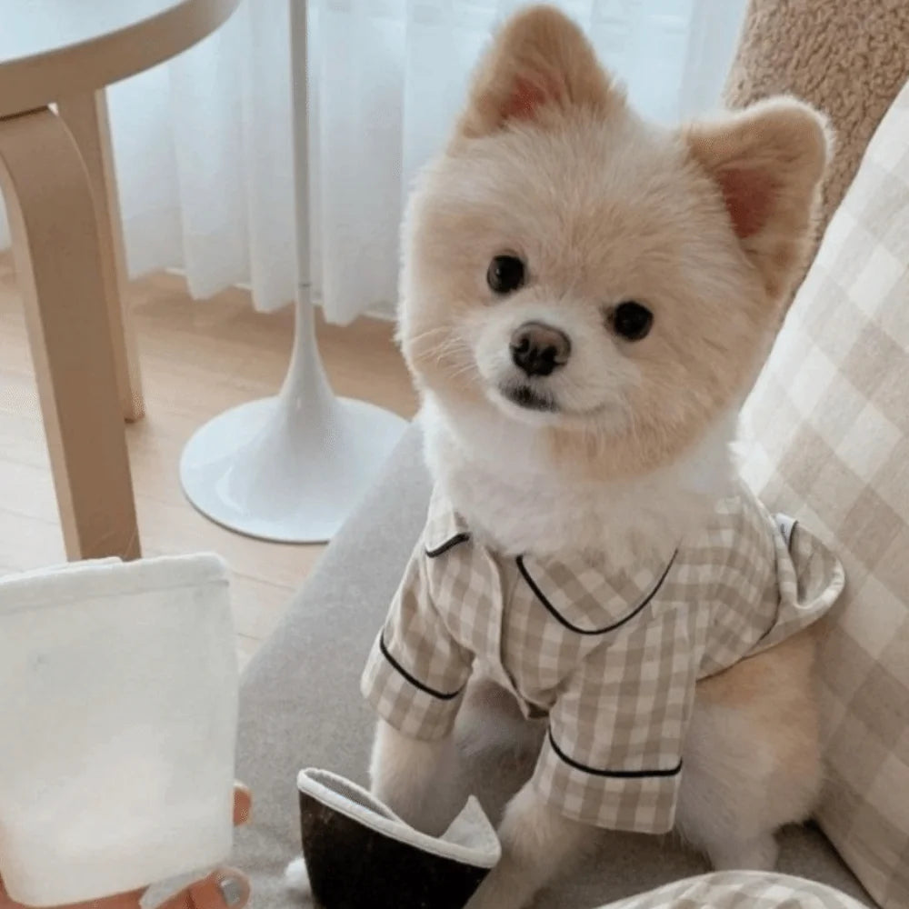 Elegant Fashion Dogs Pajamas