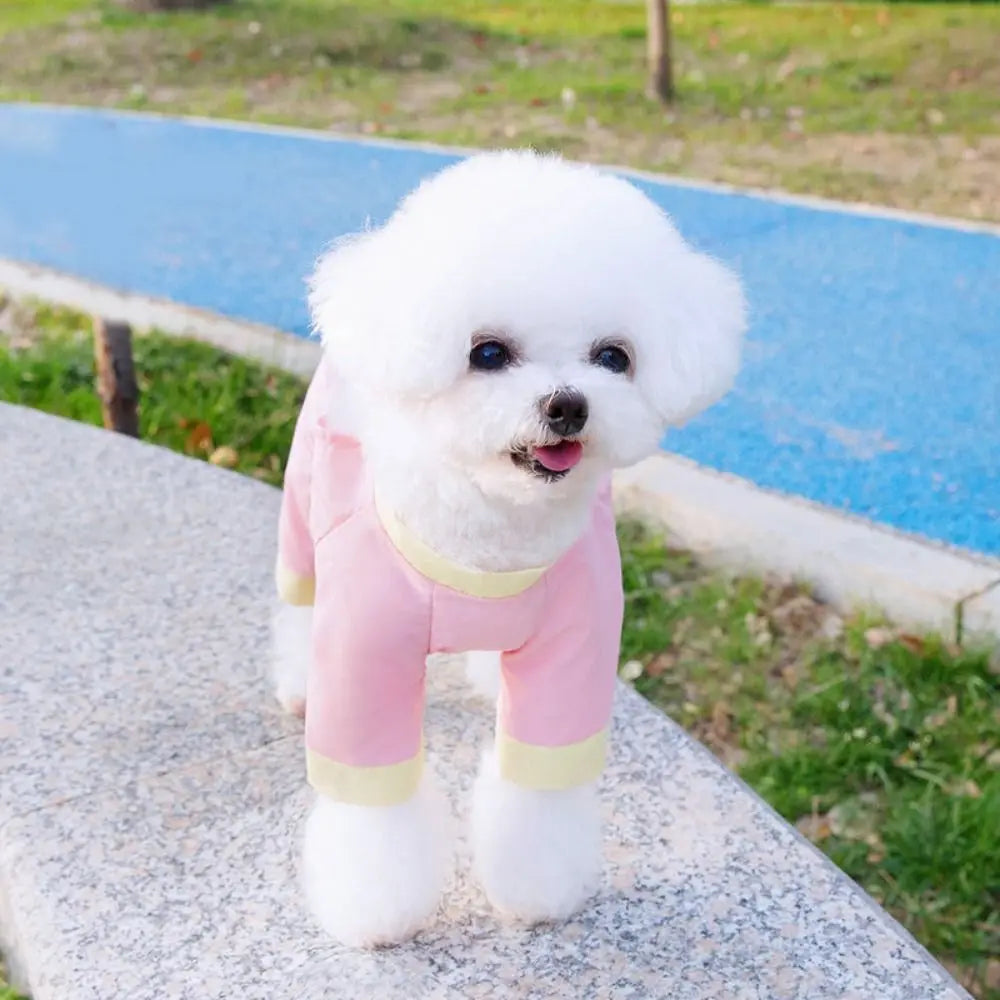 Breathable Pet Spring Jumpsuit