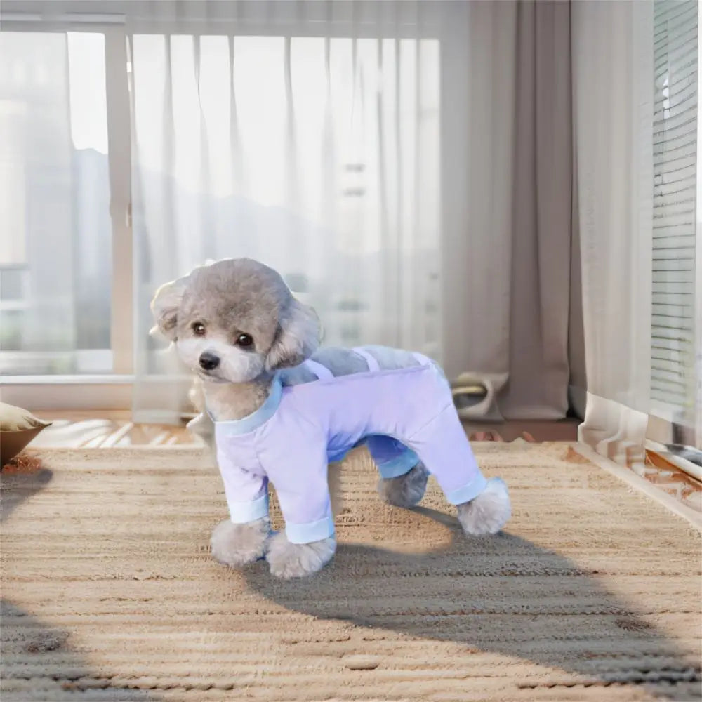 Breathable Pet Spring Jumpsuit
