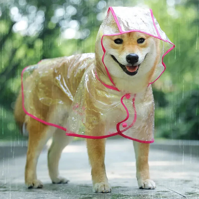 Pet Transparent Rainwear