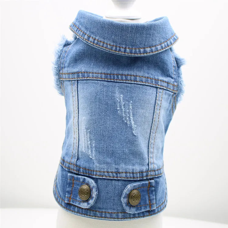 Pet Denim Clothes