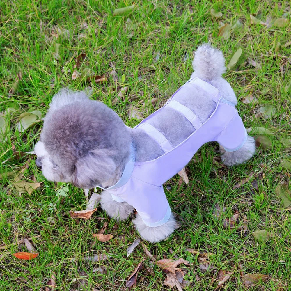 Breathable Pet Spring Jumpsuit