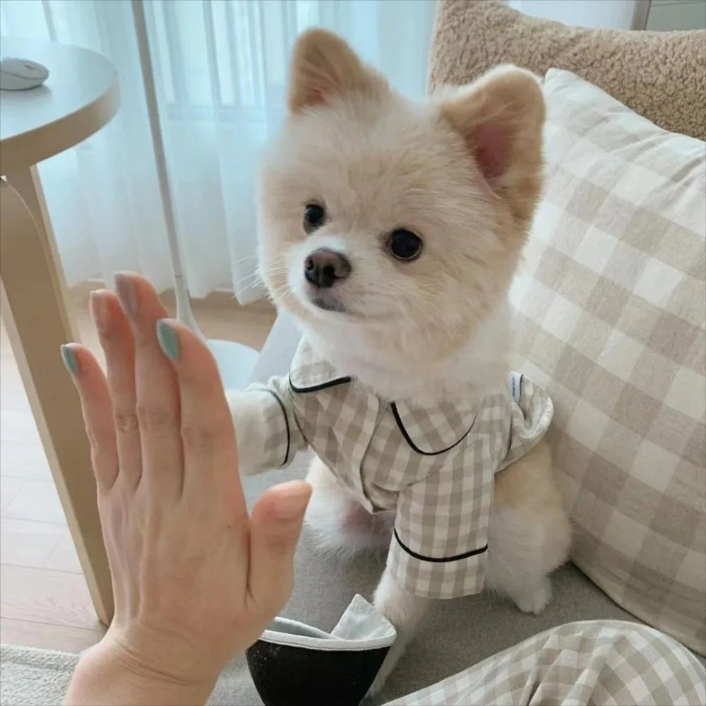 Elegant Fashion Dogs Pajamas