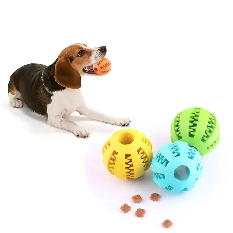 Toy Ball for Dogs & Puppy Cat