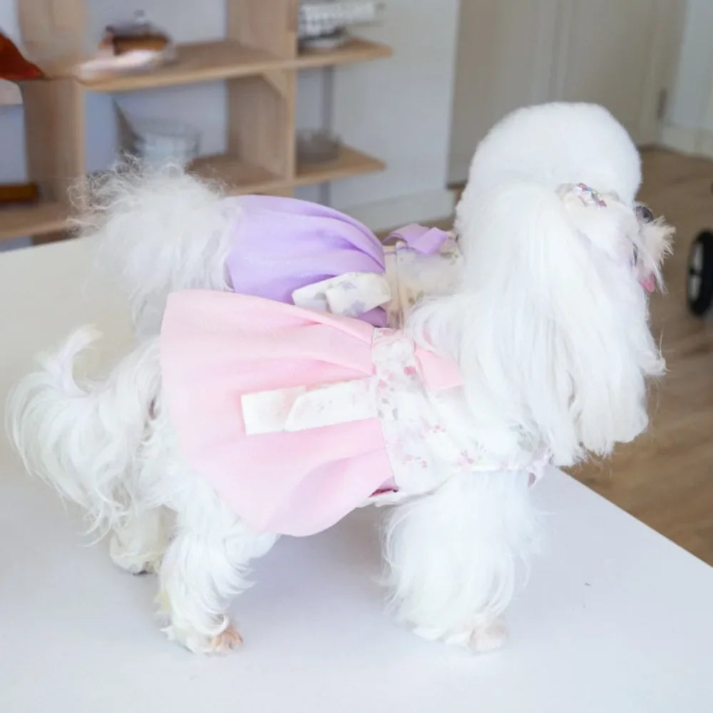 Teddy Dress Fashion for Puppy