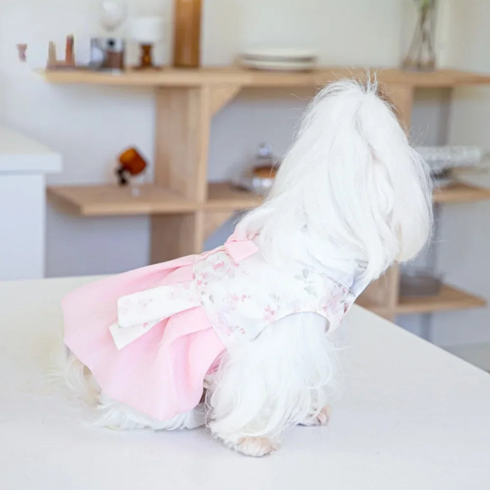 Teddy Dress Fashion for Puppy