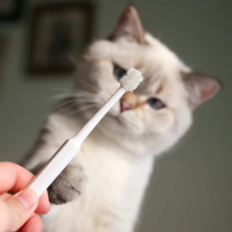Soft ToothBrush for Cats Mouth Cleaning