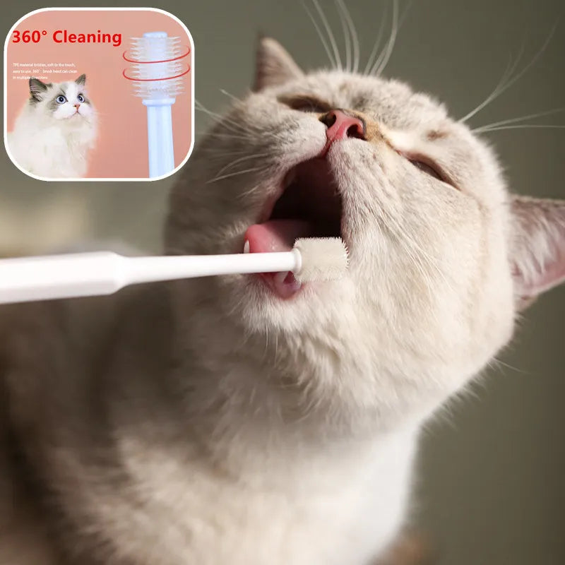 Soft ToothBrush for Cats Mouth Cleaning