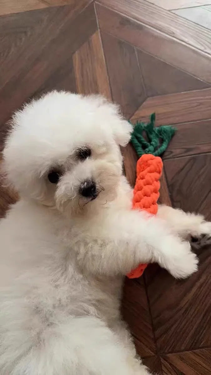 Pet Self-Relieving Boredom