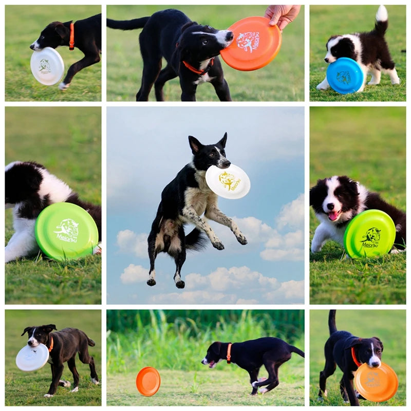 Dog Flying Interactive Rubber Discs Toy