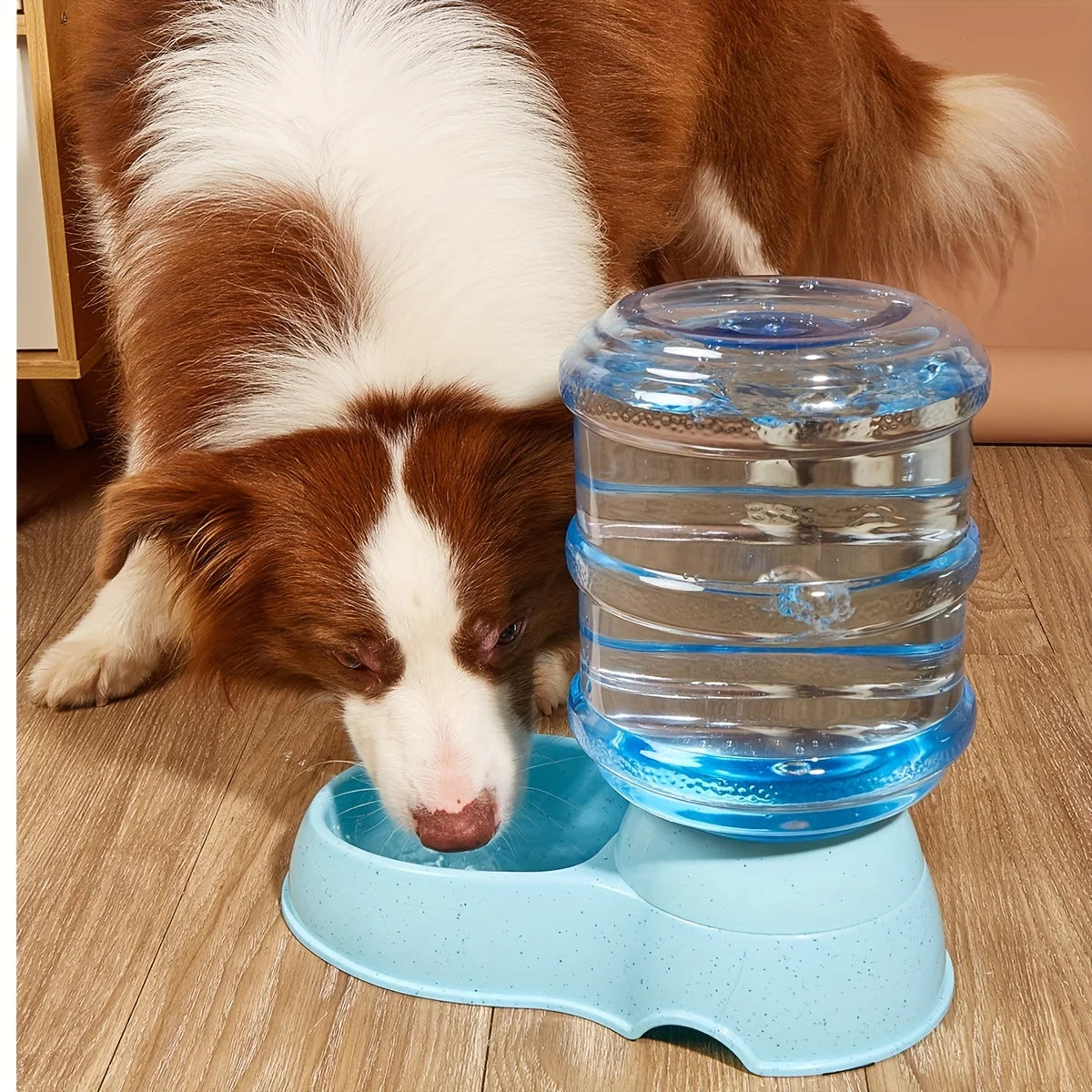 Pet Large Capacity Automatic Water and Feeder